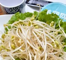 Mung Bean Sprouts