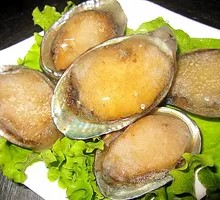Abalone