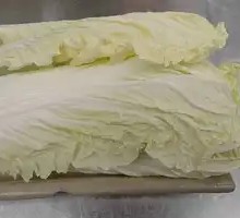 Chinese cabbage