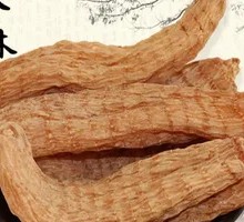 Gastrodia