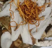 Wild Mushrooms