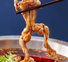Fresh Live Frog