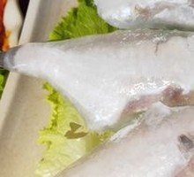 Snakehead Fish
