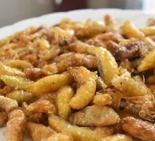Bee Larvae