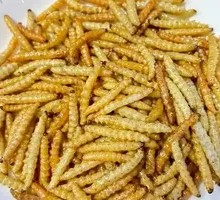 Bamboo worm