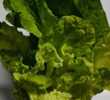 Fresh Baby Bok Choy