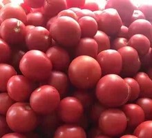 Tomato Hot Pot