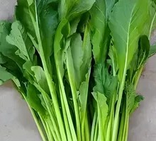 Bitter Greens Salad