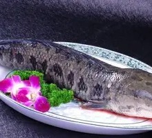 Black fish
