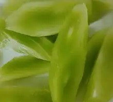 Bamboo Shoot Tip