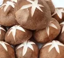 Shiitake Mushroom