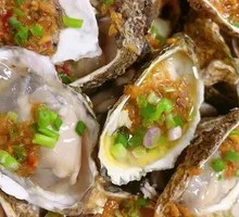 Fresh Oysters
