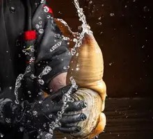 Geoduck