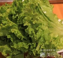 Lettuce