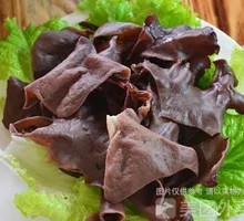 Wood Ear Mushroom