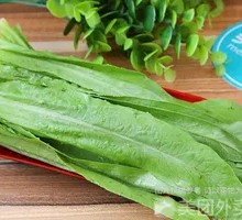 Oilseed lettuce