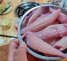 Rocket Squid