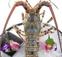 Fresh Green Shrimp
