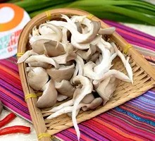 Artificial Mushroom