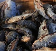 Fried Fish