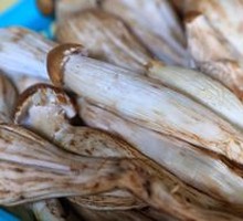 Chicken Mushroom