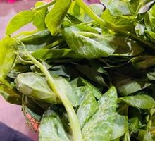 Pea Shoots