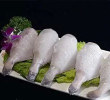 Freshwater Catfish