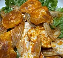 Fish Fin
