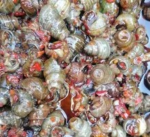 Spicy Little Snails
