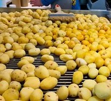 Braised Potatoes
