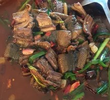 Wild Eel