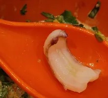 Octopus Tentacles