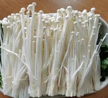 Enoki Mushroom