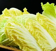 Napa cabbage