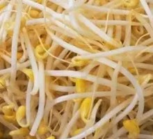Bean sprouts