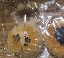 Blueberry Pastry