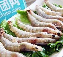 Fresh Green Shrimp