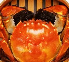 Male Crab