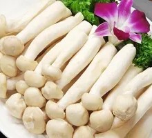 Seafood Mushroom