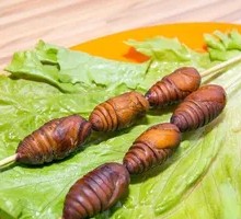Roasted Silkworm Pupa