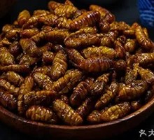 Silkworm pupae