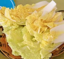 Napa cabbage