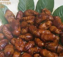 Jasmine Fried Silkworm Pupae