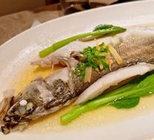 Uncommon Sea Bass