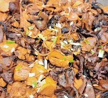 Stir-Fried Chicken with Wild Mushrooms and Noodles in One Pot