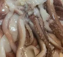 Squid