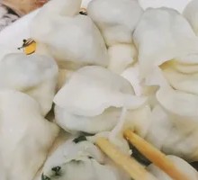 Half-Steamer Beef Dumplings