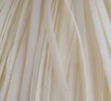 White Broad Bean and Beef Tendon Noodles