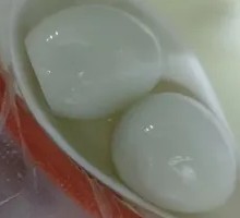 Quail Egg
