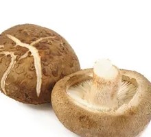 Shiitake Mushroom